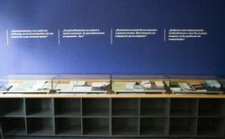 dsc-0939_250x154_crop_478b24840a