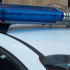 glaven-daricnews_280x280_crop_478b24840a