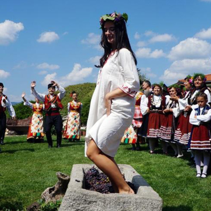 novata-carica_700x700_crop_478b24840a