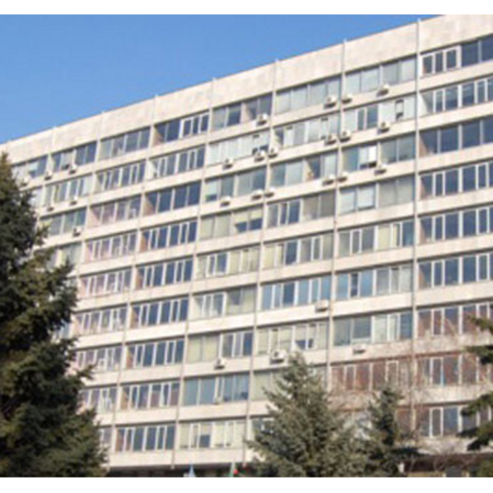 nelk-nelk_700x700_crop_478b24840a