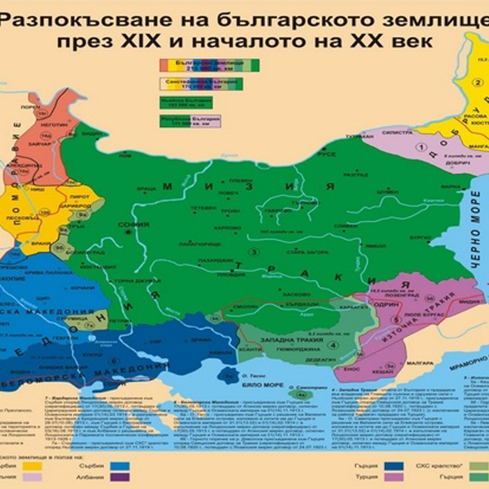 niojski-dog_700x700_crop_478b24840a