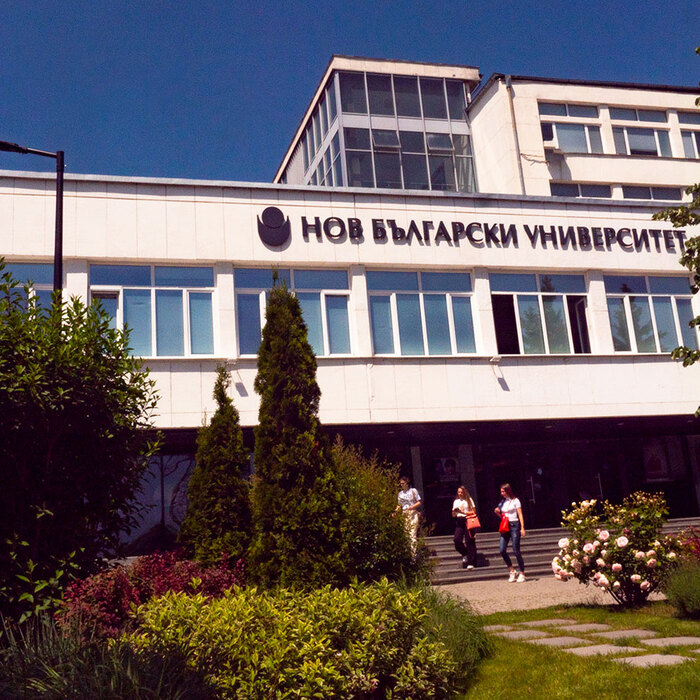 p3200202_700x700_crop_478b24840a