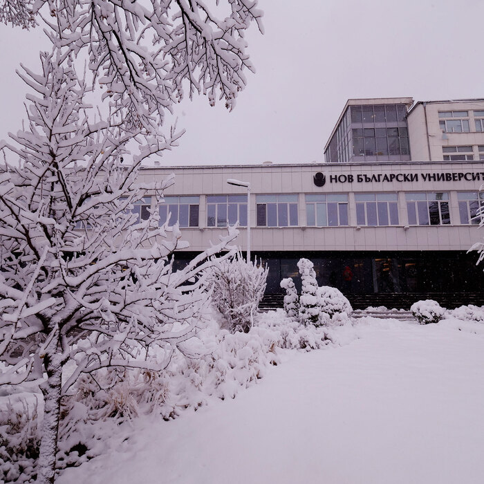 2455127_700x700_crop_478b24840a